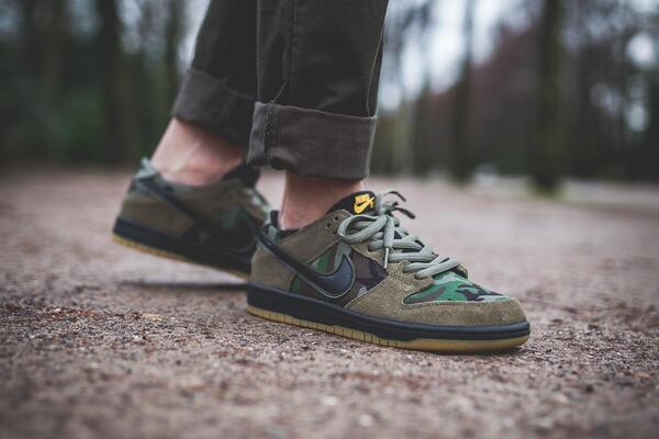 nike-sb-zoom-dunk-low-pro-